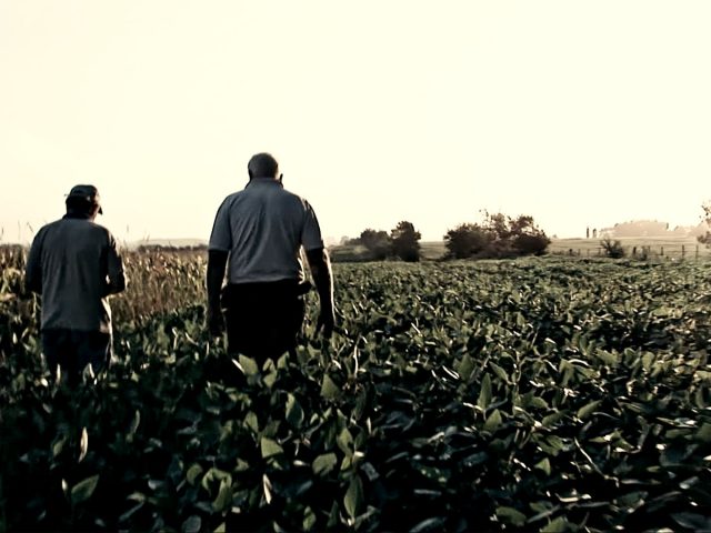 JEUDI 2 MAI À 18H – Projection « le grain et l’ivraie » & Rencontre avec Terre & Humanisme